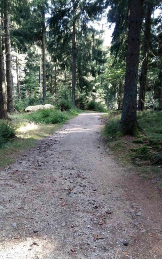 Bergerlebnis Natur Pur سانكت انجلمار المظهر الخارجي الصورة